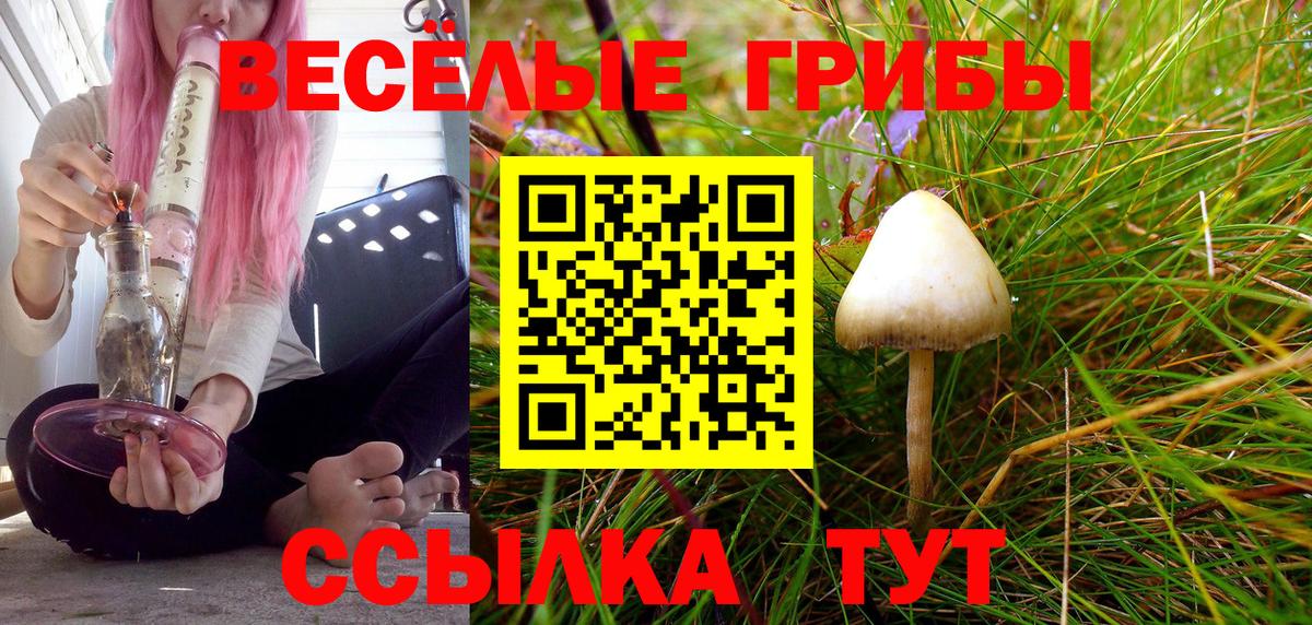 Можга  Галлюциногенные грибы Psilocybe  Вход с VPN 
